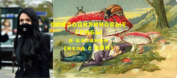 бошки Алзамай