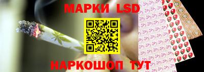 гидра Моздок