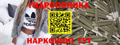 гидра Моздок