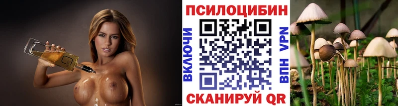 mega рабочий сайт  Боровичи  Псилоцибиновые грибы Cubensis 