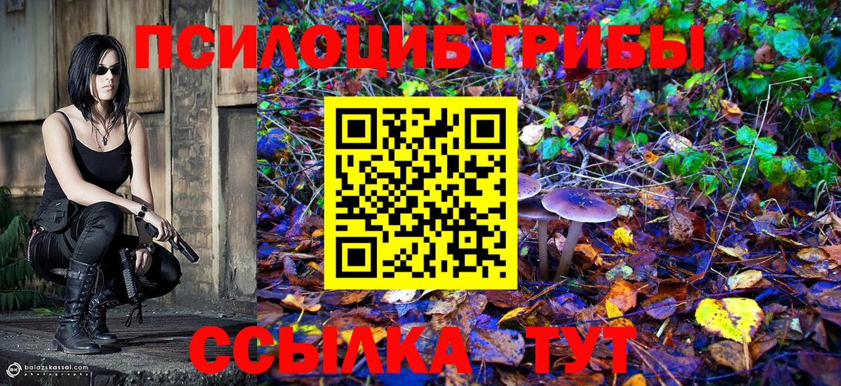 Псилоцибиновые грибы GOLDEN TEACHER  Вход с VPN  Псилоцибиновые грибы GOLDEN TEACHER  Боровичи 