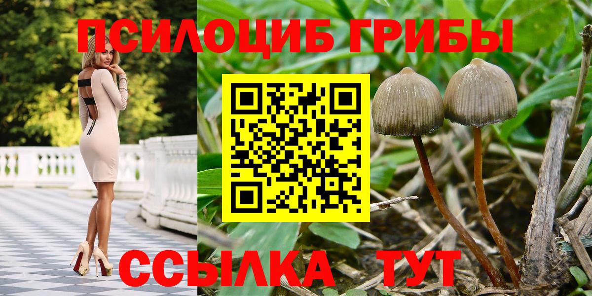 Псилоцибиновые грибы ЛСД Боровичи